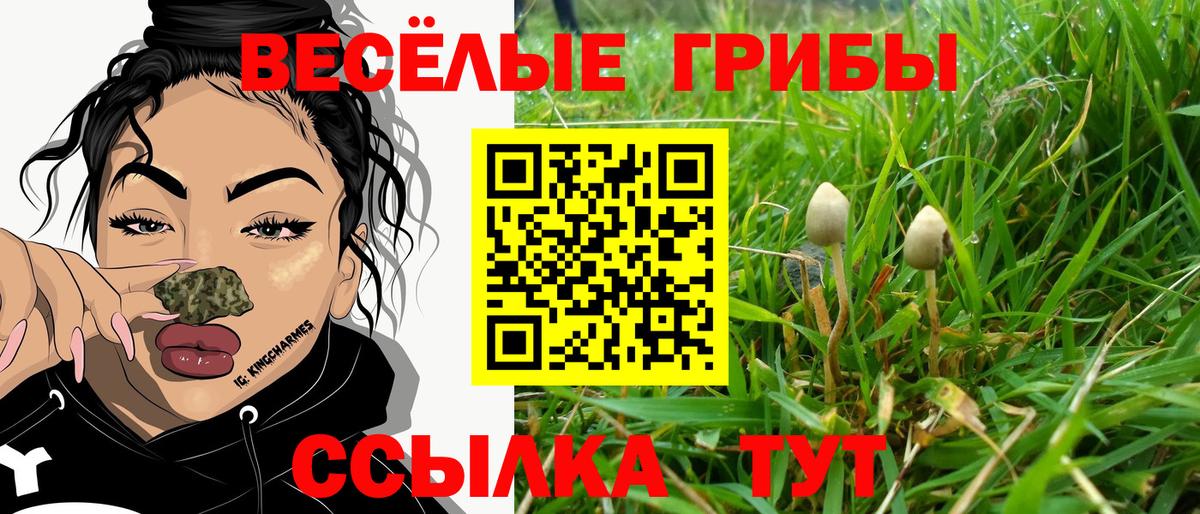 Псилоцибиновые грибы GOLDEN TEACHER  Вход с VPN  Таганрог 